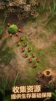 小小蚁国2024最新礼包码 小小蚁国礼包码真实有效