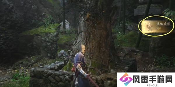 黑神话悟空落伽香藤在哪里获取 落伽香藤采集位置攻略[多图]图片1