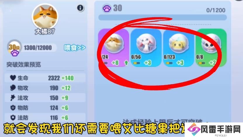 蛋仔派对艾比等级突破31级攻略 艾比精英等级如何提升[多图]图片9