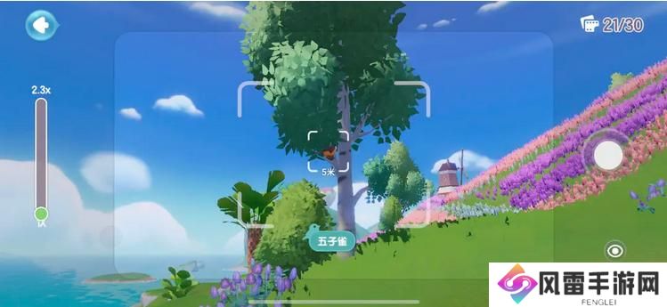 心动小镇鸟类观察图鉴大全