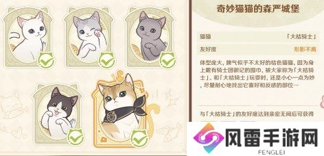 原神4.5茸茸城堡大喵险第五天怎么过 原神4.5茸茸城堡大喵险第五关攻略