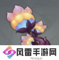 原神基尼奇突破材料有哪些 基尼奇突破材料在哪里获取[多图]图片2