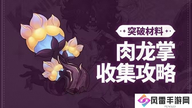 原神肉龙掌采集路线大全 最新96个肉龙掌材料收集汇总[多图]图片1