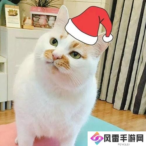 圣诞帽子图片微信头像有哪些 圣诞帽子图片微信头像大全