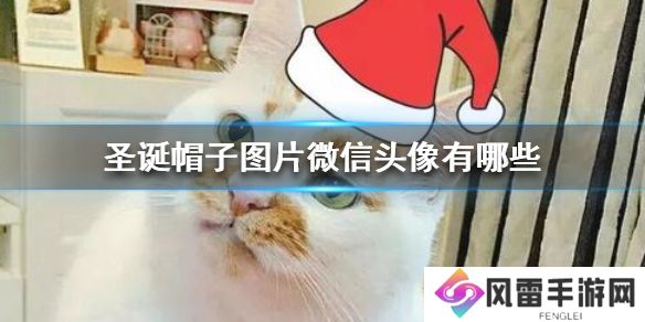 圣诞帽子图片微信头像有哪些 圣诞帽子图片微信头像大全