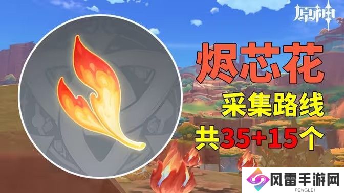 原神烬芯花采集路线 烬芯花在哪里可以采集[多图]图片1