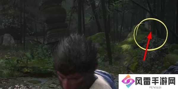 黑神话悟空落伽香藤在哪里获取 落伽香藤采集位置攻略[多图]图片6