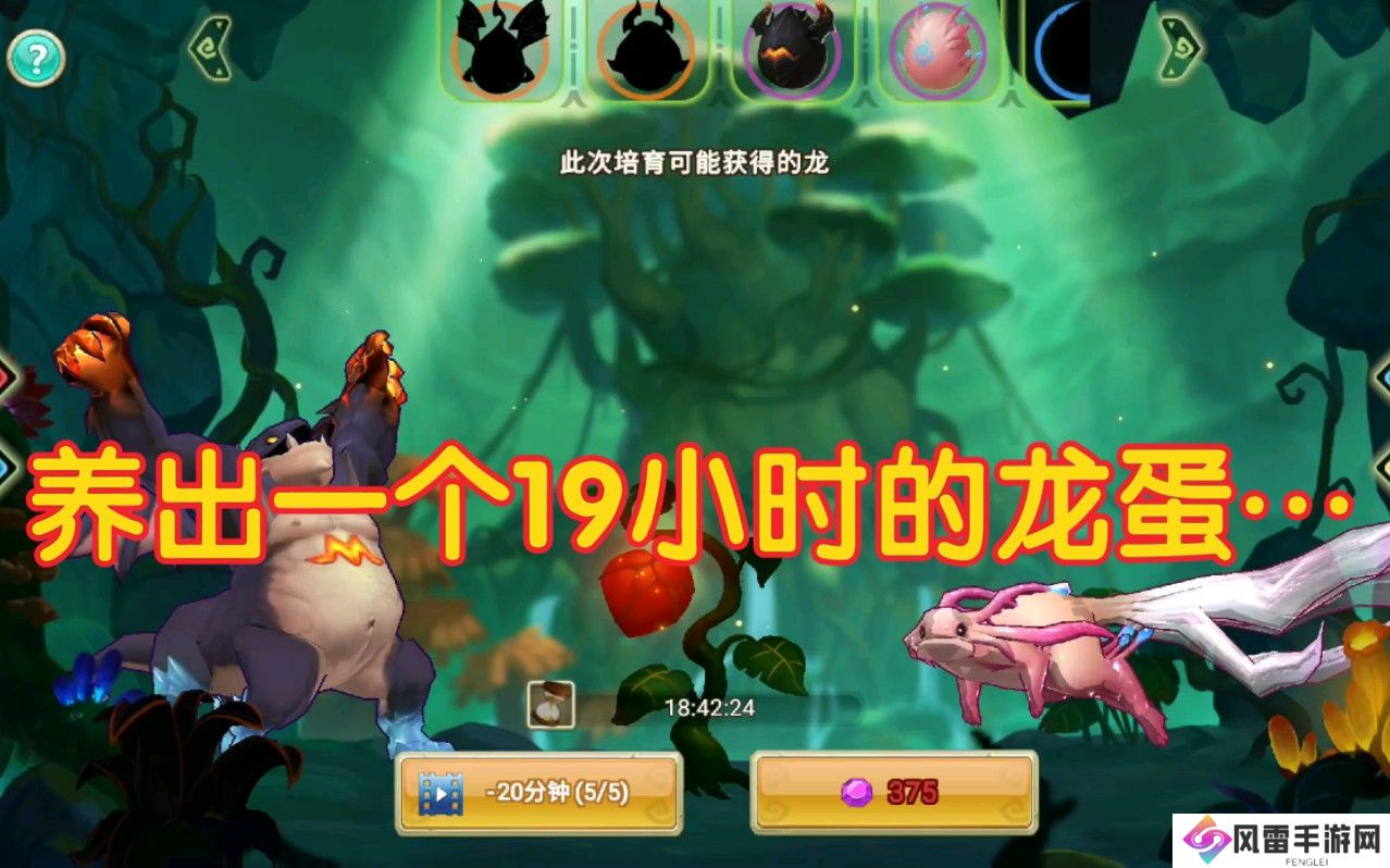 四、独特的交易系统