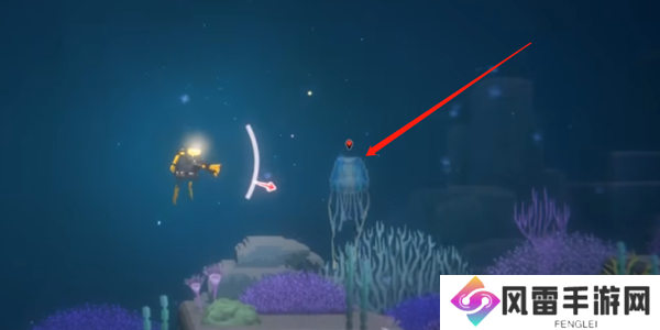 潜水员戴夫箱水母怎么抓 箱水母抓捕攻略[多图]图片1