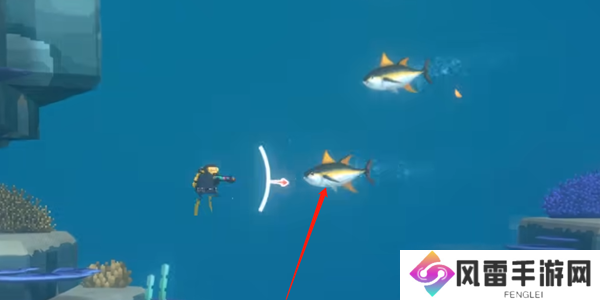 潜水员戴夫金枪鱼怎么抓 金枪鱼在哪里可以抓到[多图]图片1