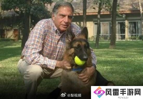 打破常规！印度亿万富翁将8.4亿遗产留给爱犬、管家