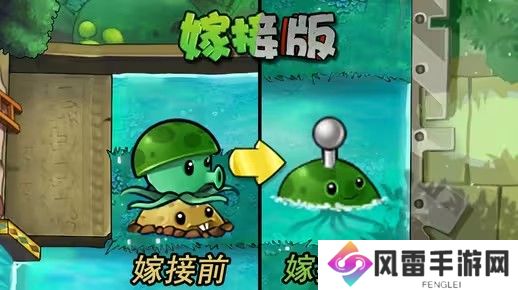 植物大战僵尸嫁接版新植物水雷怎么样