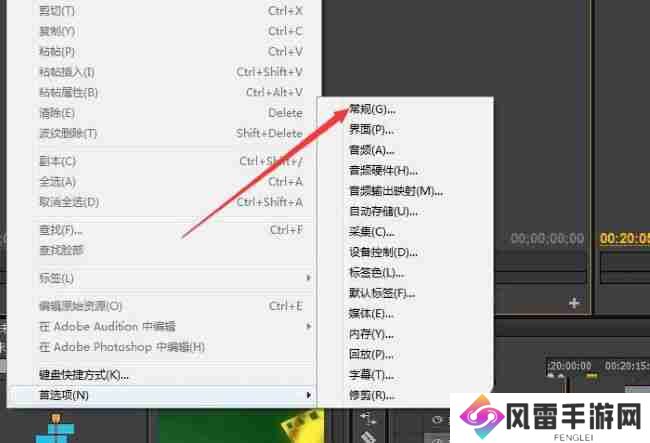 Premiere Pro怎么显示色彩管理