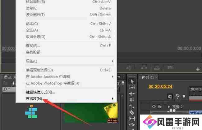 Premiere Pro怎么显示色彩管理