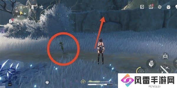 鸣潮傲寒钟采集路线图 傲寒钟哪里多图片6