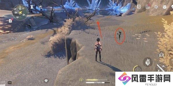 鸣潮傲寒钟采集路线图 傲寒钟哪里多图片7