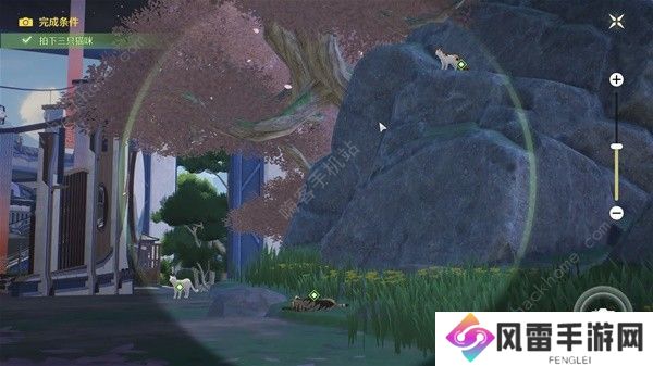 鸣潮拍忆今洲在哪接 纪闻任务拍忆今洲触发点及完成详解图片6