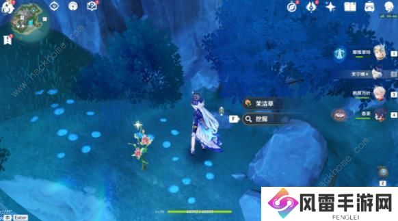 原神佩特莉可镇宝箱在哪 根本就没藏嘛隐藏成就获取攻略图片8