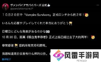 休闲肉鸽游戏《吸血鬼幸存者》发售两周年纪念更新