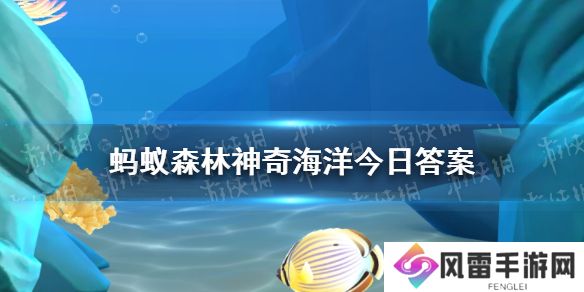 猜一猜以下哪种海洋动物是海葵的天敌  神奇海洋12月15日答案