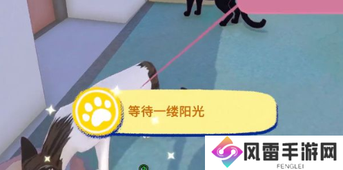 小猫咪大城市等待一缕阳光成就怎么过 等待一缕阳光成就通关攻略
