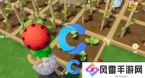 心动小镇奇灵夜季南瓜雕刻玩法