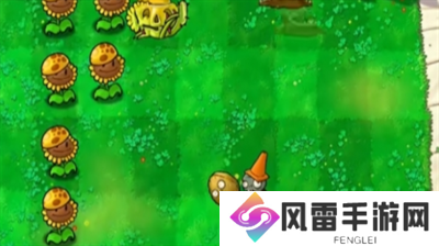 植物大战僵尸杂交版挑战模式第23关怎么过