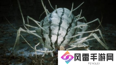 黑神话悟空游戏中有多少个boss