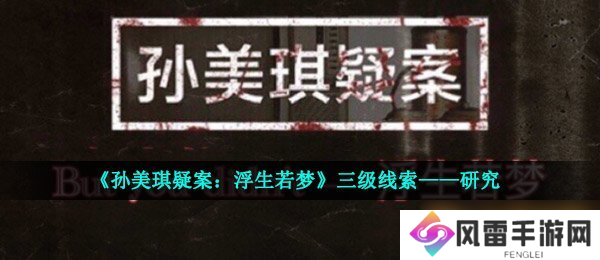 《孙美琪疑案 浮生若梦》三级线索——研究