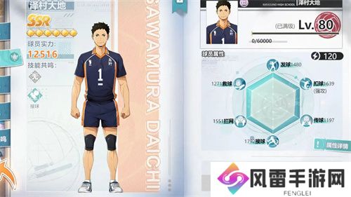 排球少年新的征程角色养成攻略介绍