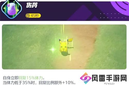 宝可梦大集结胖可丁对战道具怎么选择