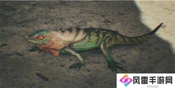 怪物猎人荒野天堑沙原环境生物一览 怪物猎人荒野天堑沙原环境生物收集