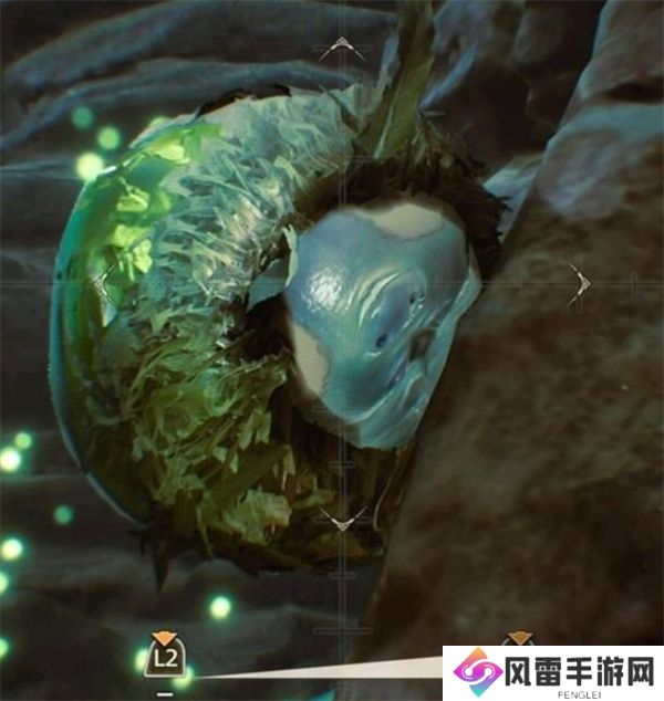 怪物猎人荒野天堑沙原环境生物一览 怪物猎人荒野天堑沙原环境生物收集