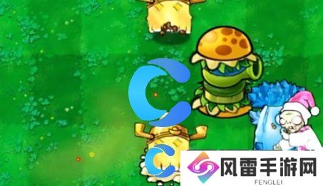 植物大战僵尸杂交版挖宝模式玩法